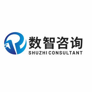 河南省數(shù)智工程咨詢監(jiān)理